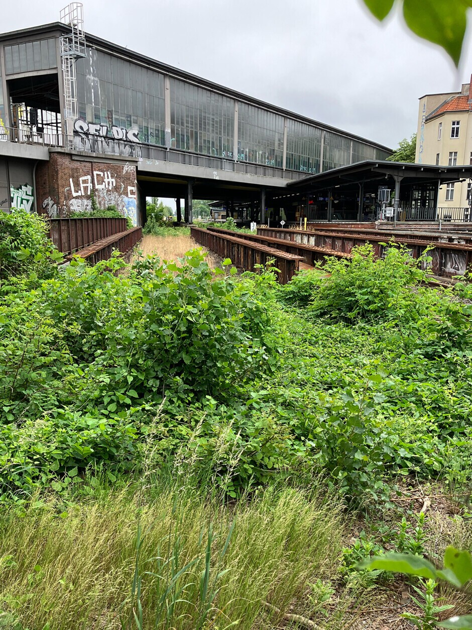 Die Trasse führt unter der denkmalgeschützten Ringbahnhalle entlang. Erkennbar sind die beengten Platzverhältnisse, die eine besonders sorgfältige Lösungsfindung für die Gestaltung der Bahnsteiganlagen und Zugangs-/Verbindungswege erfordern